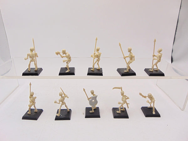 Skeleton Warriors