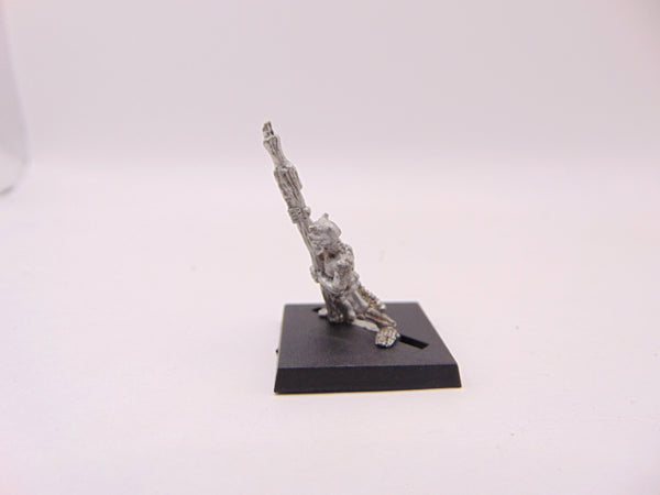Chaos Familiar Skeletal