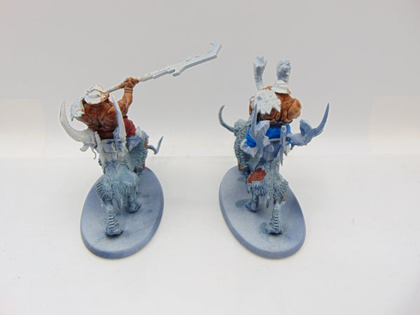 Mournfang Cavalry Pack