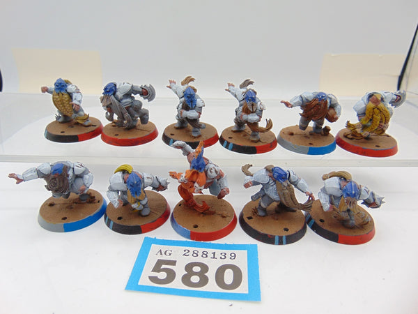 Dwarf Blood Bowl Team