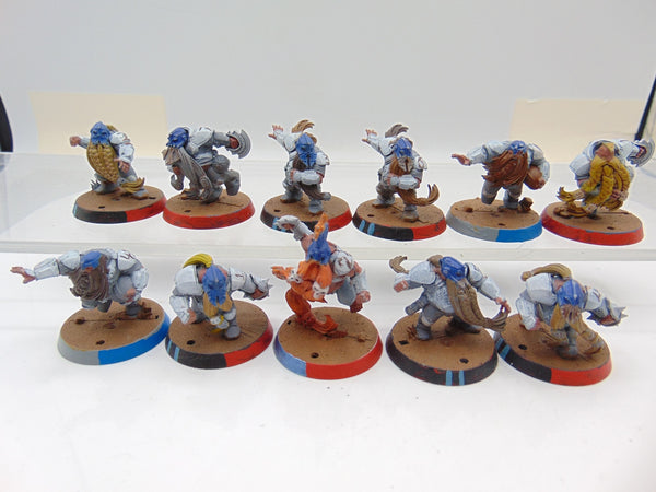 Dwarf Blood Bowl Team