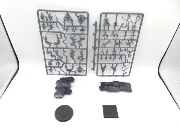 Skaven Rat Ogres and Giant Rats