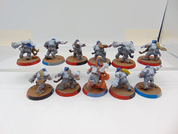 Dwarf Blood Bowl Team