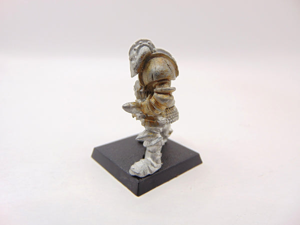 Chaos Warrior - Mighty Zog Arkwright
