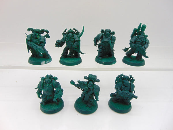 Plague Marines & Champion