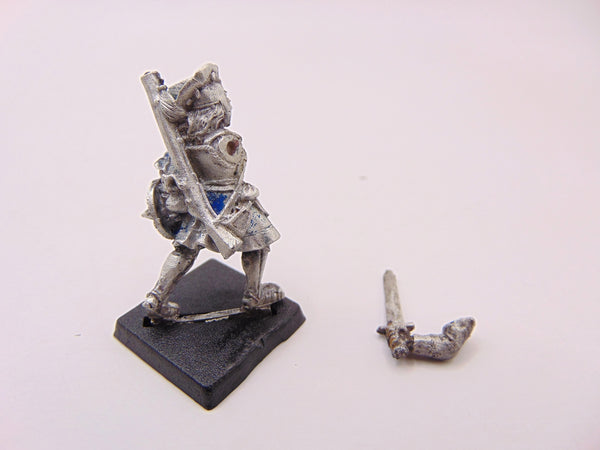 Marienburger Captain