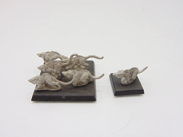 Giant Rats