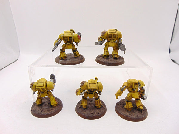 Terminator Squad