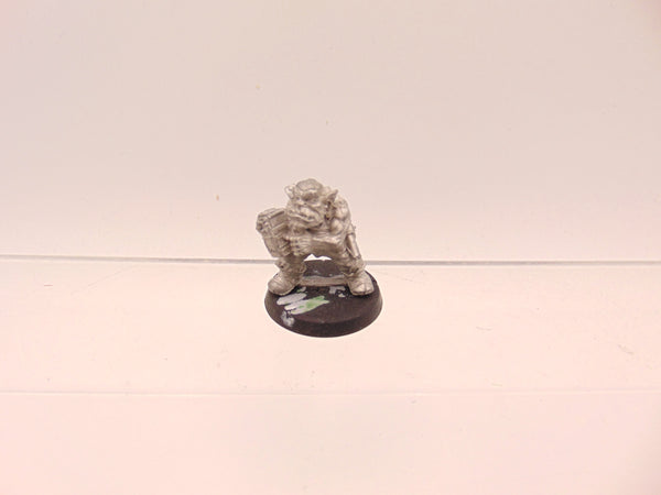 Iron Claw Roborg - Controller