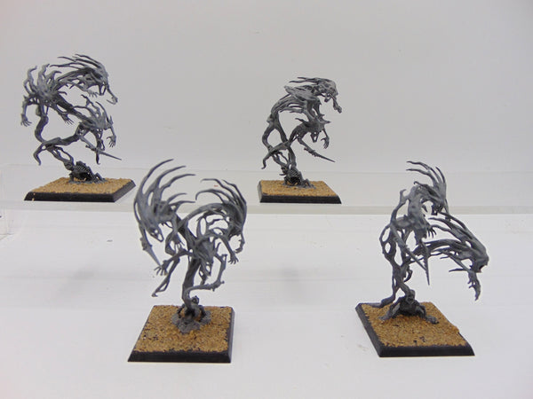 Spirit Hosts