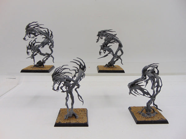 Spirit Hosts