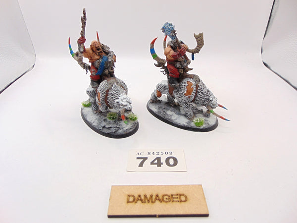 Mournfang Cavalry Pack