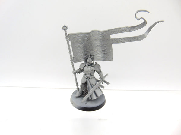 Knight Vexillor with Banner of Apotheosis