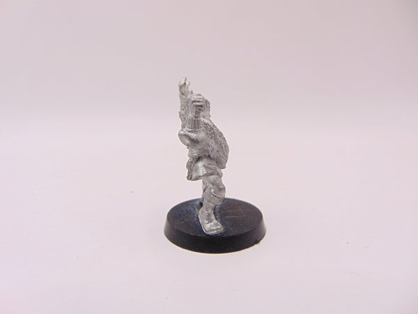 Lion Warrior Catcher
