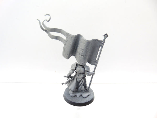 Knight Vexillor with Banner of Apotheosis