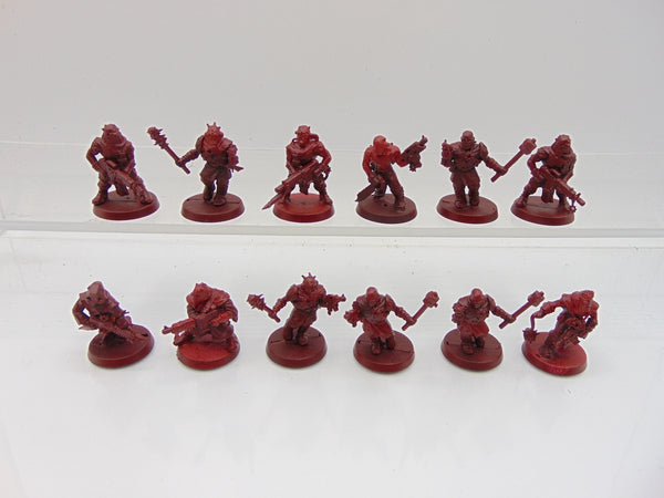 Chaos Cultists