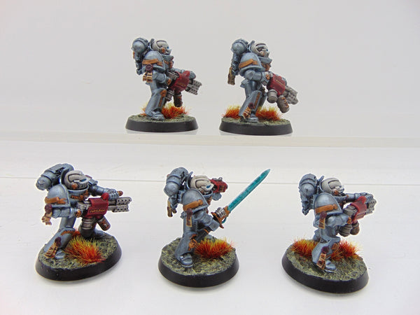 Purgation Squad