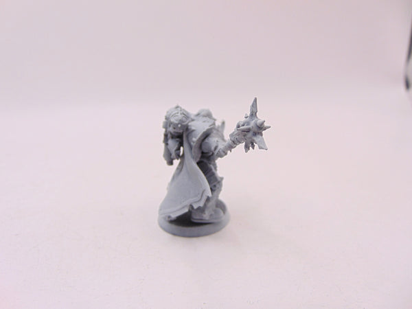 Chosen Champion Draznicht