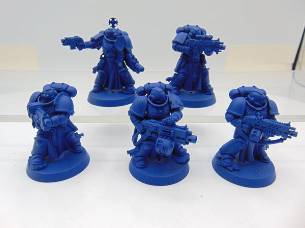 Sternguard Veterans