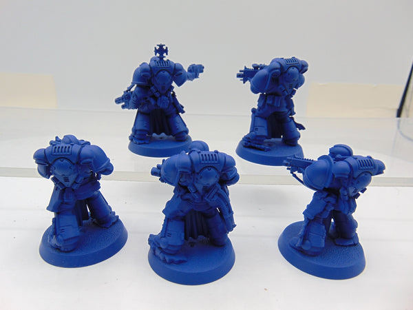 Sternguard Veterans