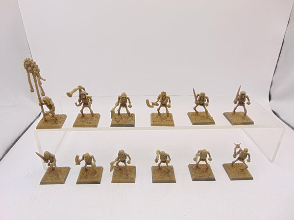 Skeleton Warriors