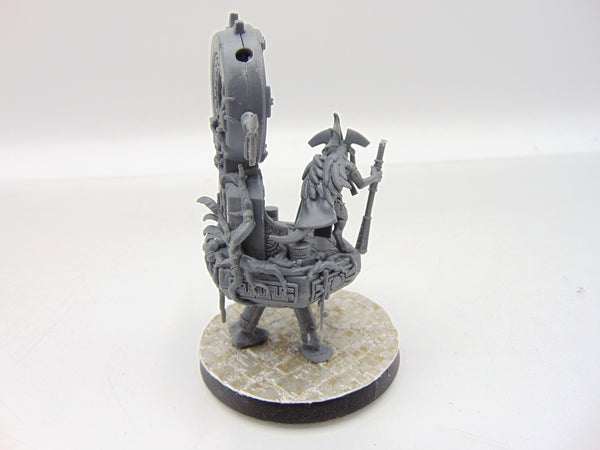 Skink Starseer