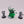 Dark Apostle