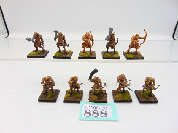 Ungor Raiders