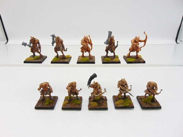 Ungor Raiders