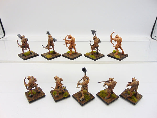 Ungor Raiders