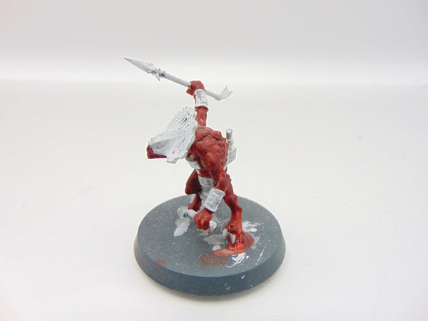 Skink Oracle