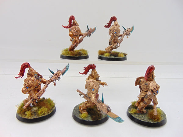 Custodian Guard