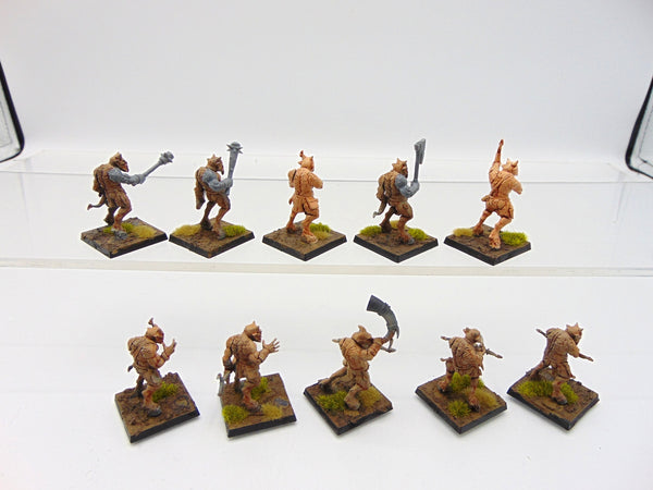 Ungor Raiders