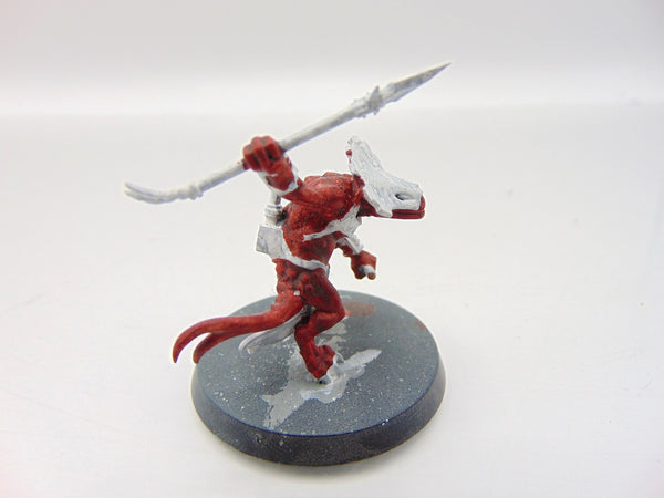 Skink Oracle