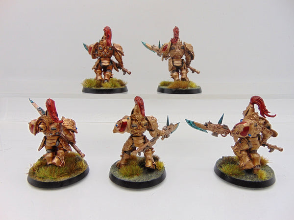 Custodian Guard