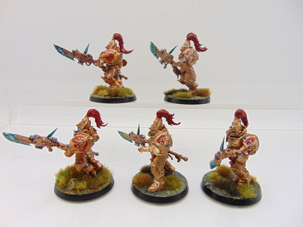 Custodian Guard