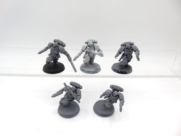 Assault Intercessors