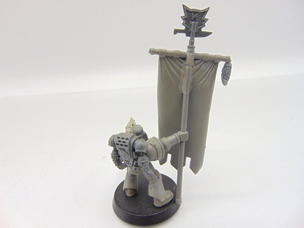 Converted Wolf Guard Standard / Ancient