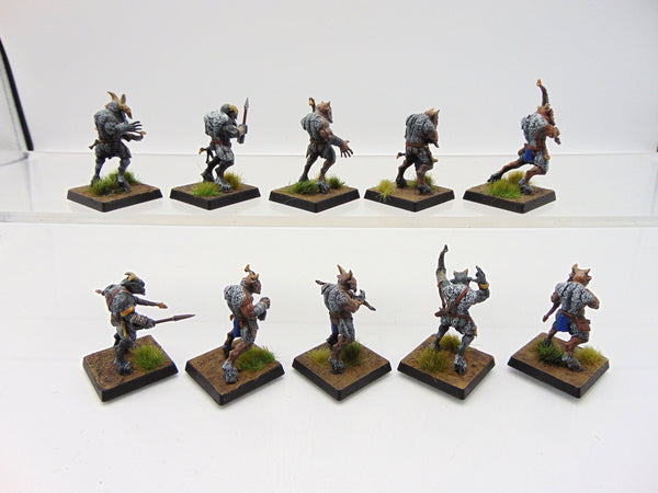 Ungor Raiders