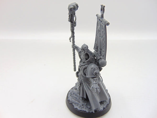 Chief Librarian Tigurius