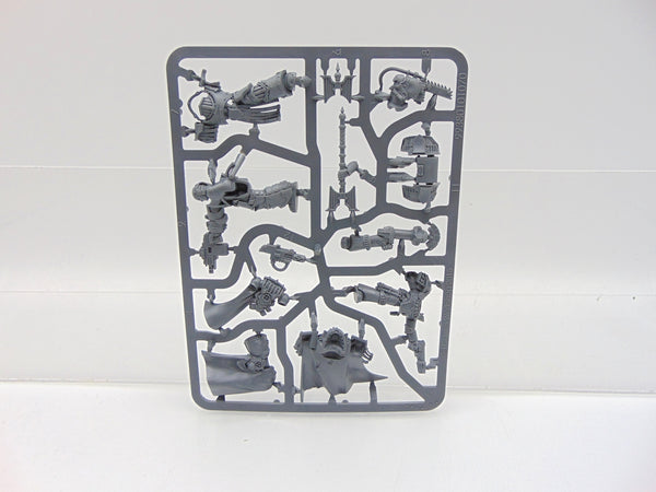 Legion Cataphractii Praetor & Chaplain Consul