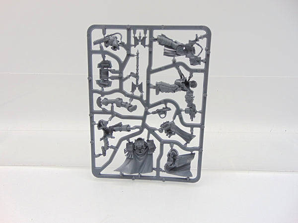 Legion Cataphractii Praetor & Chaplain Consul