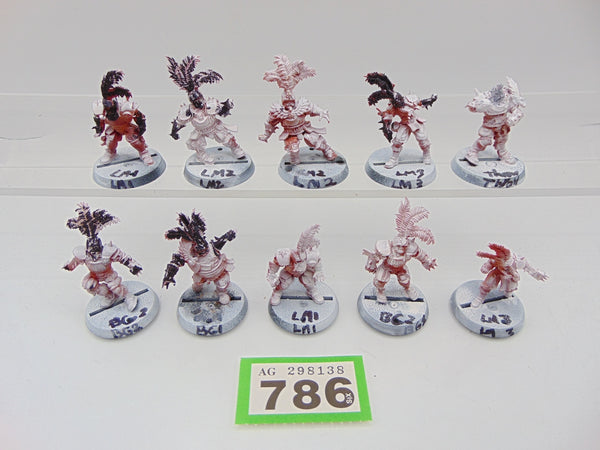 Human Blood Bowl Team