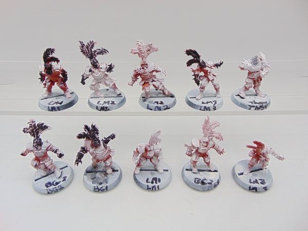 Human Blood Bowl Team