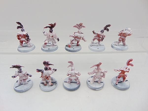 Human Blood Bowl Team