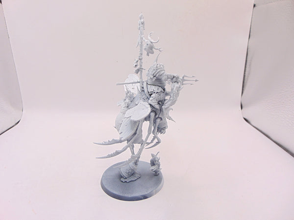 Lord of Afflicitions