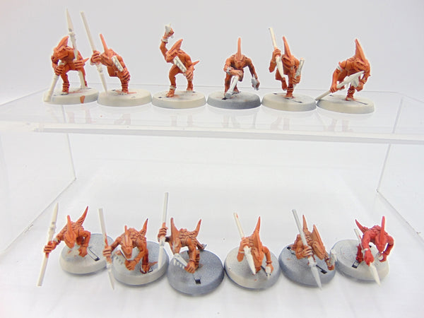 Skinks