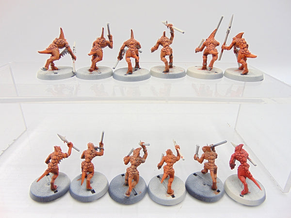 Skinks