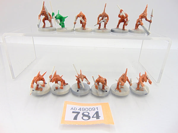Skinks