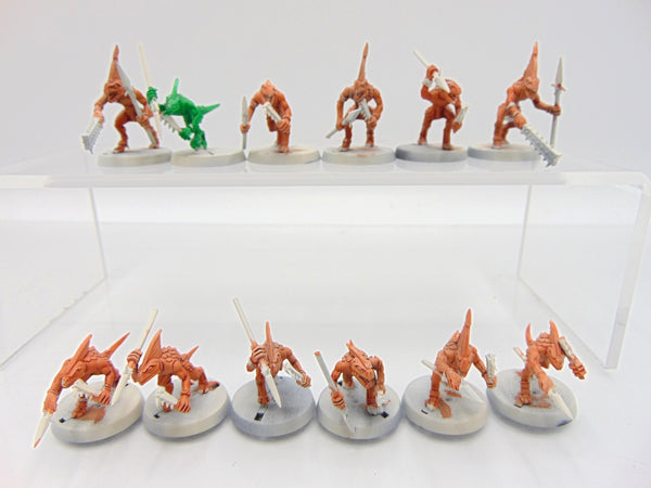 Skinks